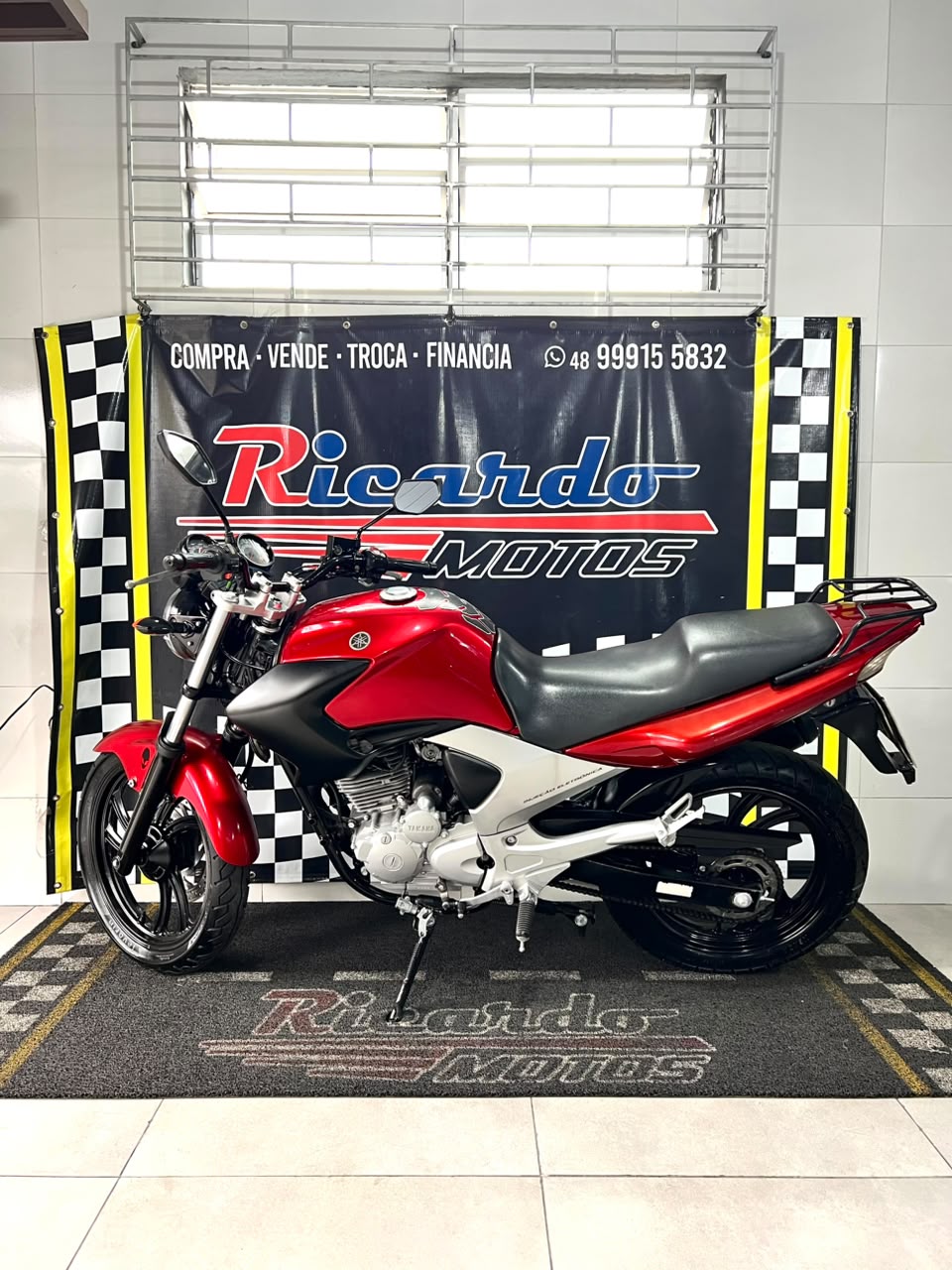 FAZER 250 (2010)